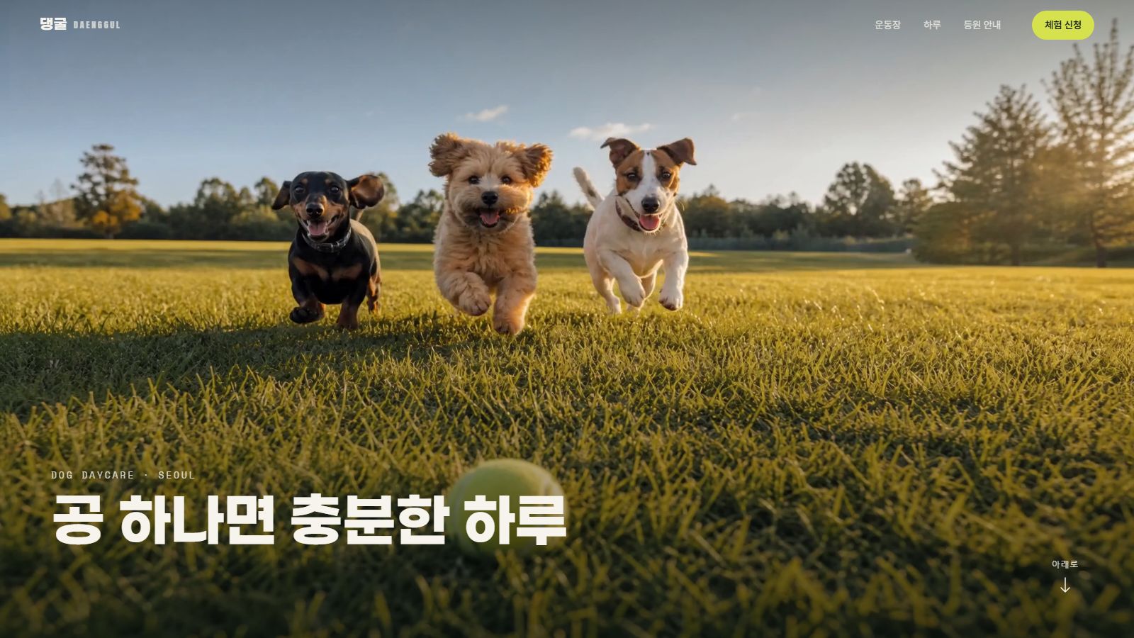 댕굴 데모 화면