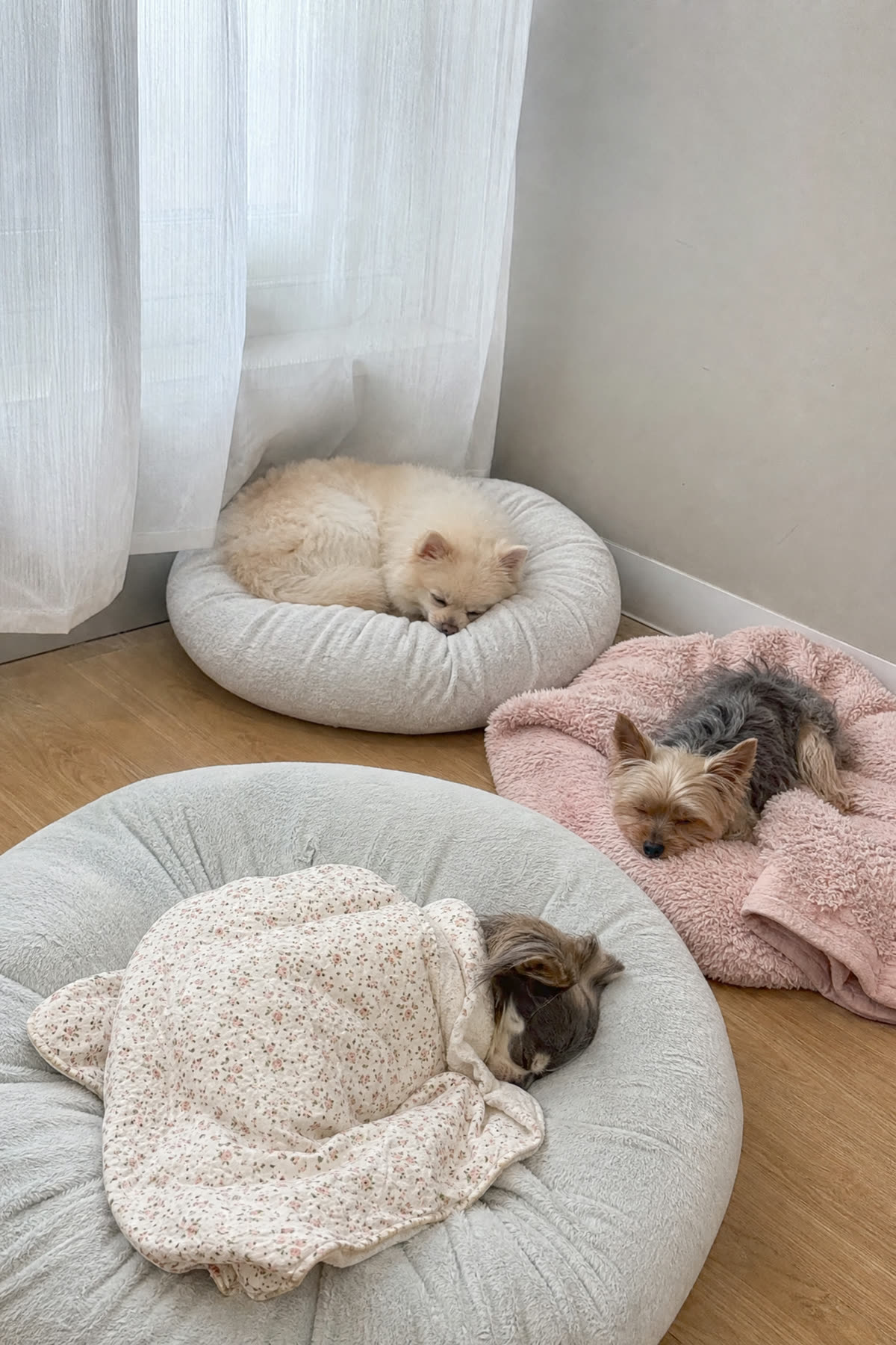 낮잠 — 해 드는 방에서 늘어지게 쉬어요