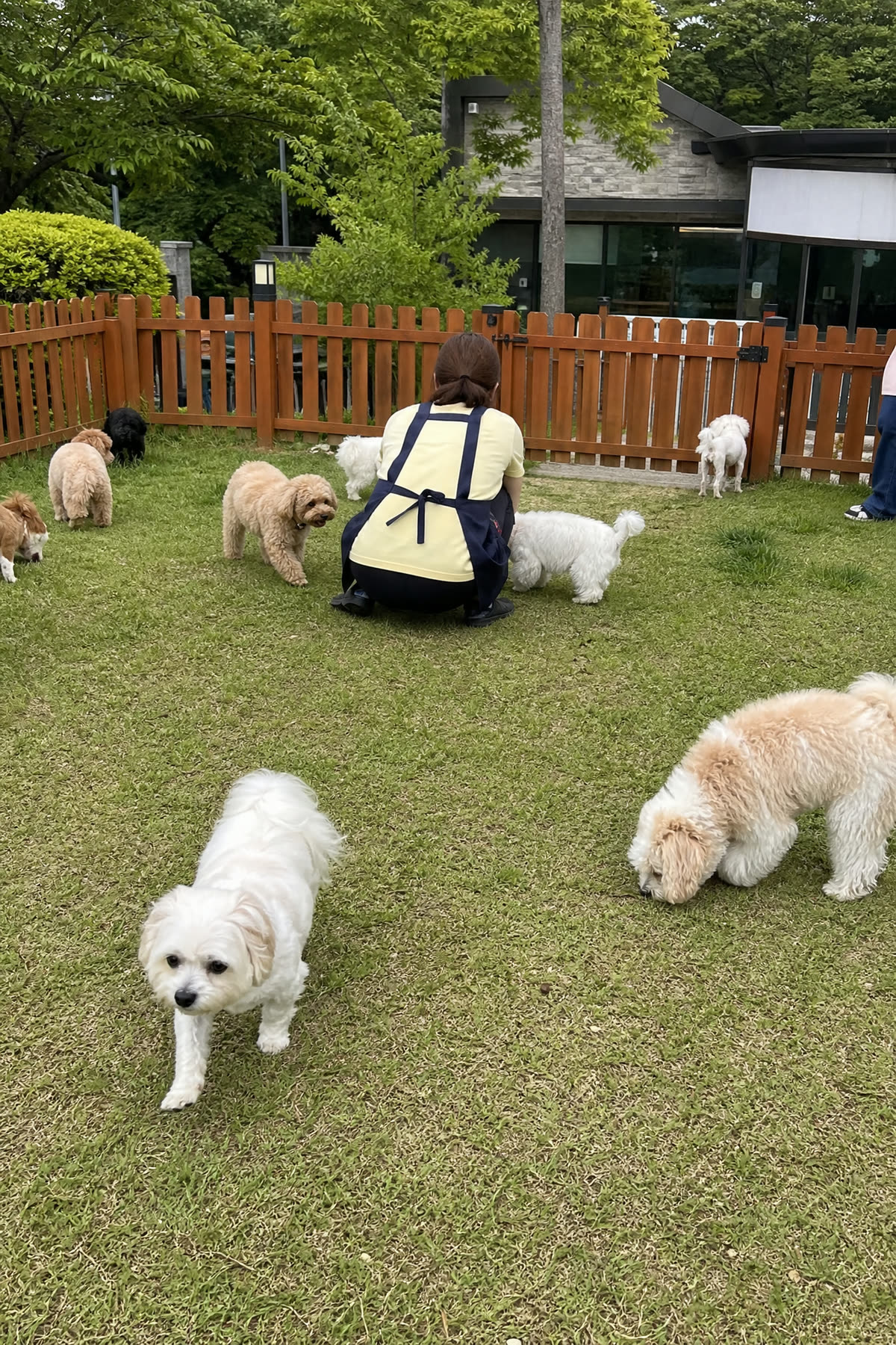 잔디 산책 — 다 같이 마당으로 나가요